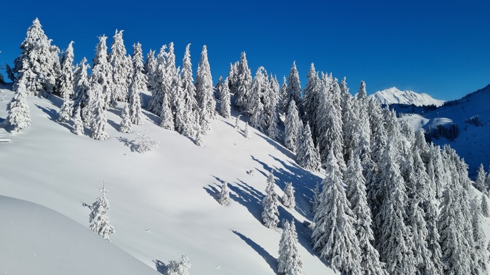 Het skigebied van Châtel.